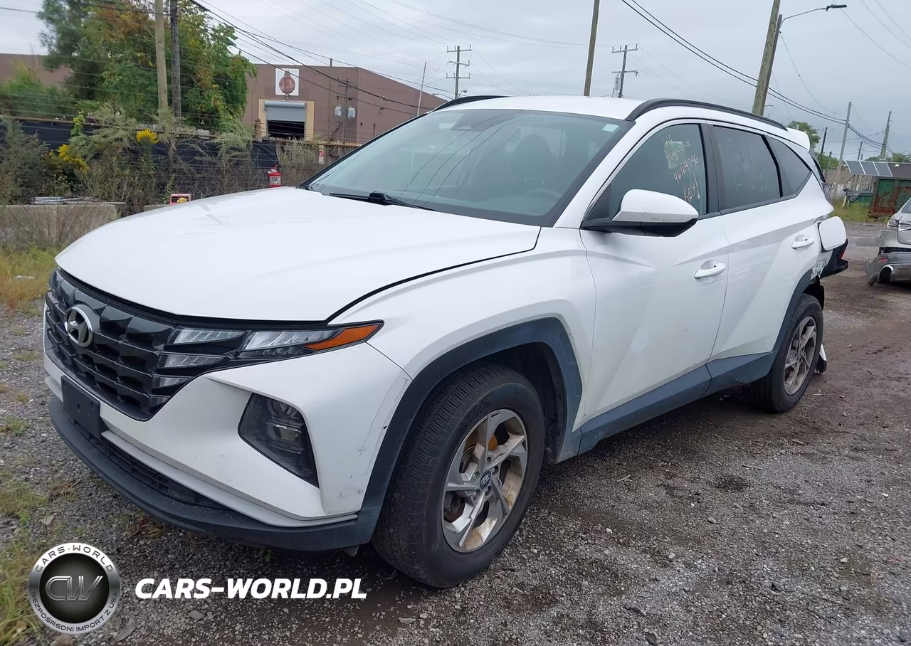 2024 Hyundai Tucson Sel VIN:5NMJBCDE8RH336546 - 2