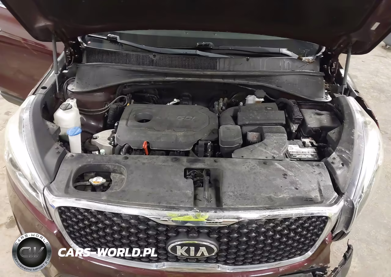 2017 Kia Sorento 2.4L Lx VIN:5XYPG4A39HG255021 - 10