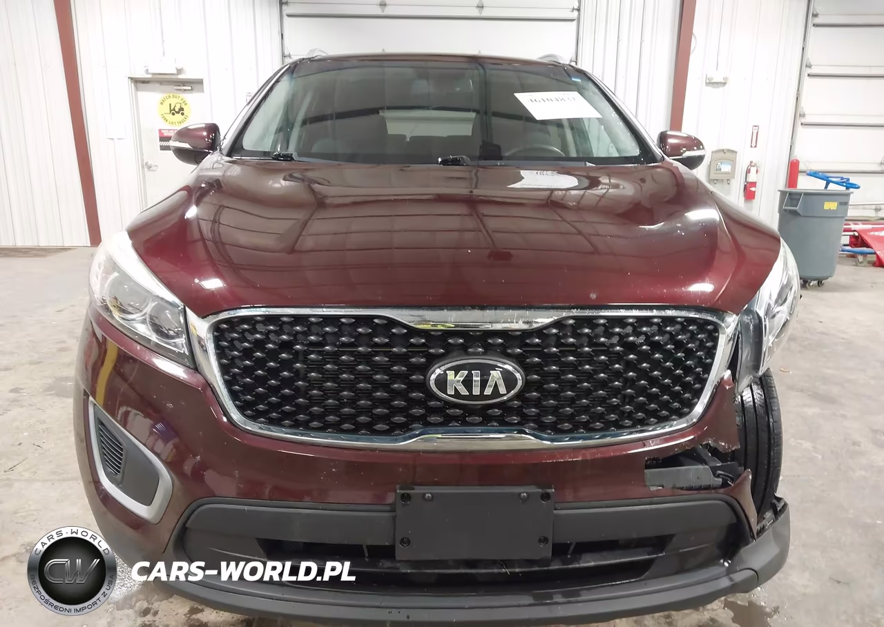 2017 Kia Sorento 2.4L Lx VIN:5XYPG4A39HG255021 - 12