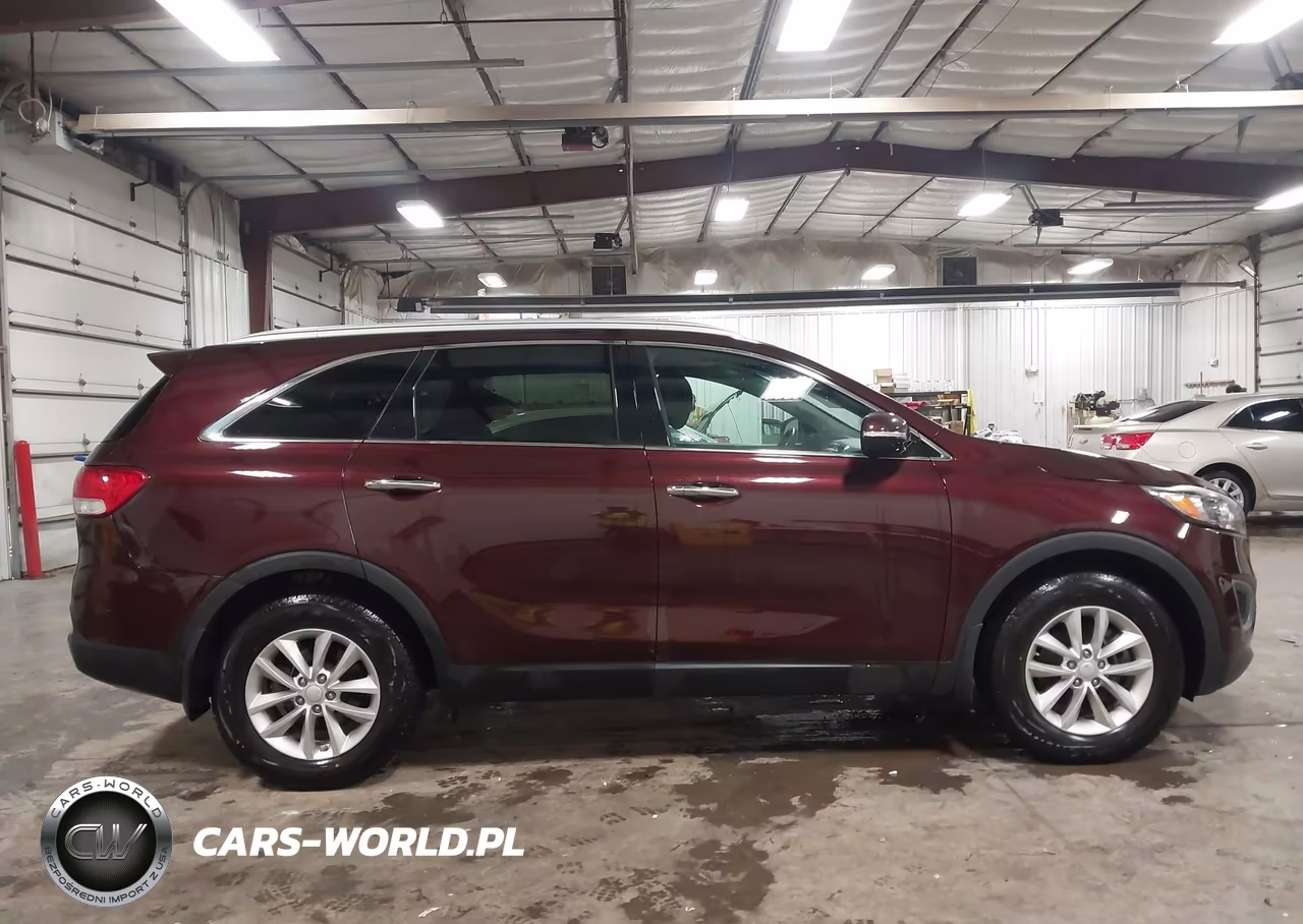 2017 Kia Sorento 2.4L Lx VIN:5XYPG4A39HG255021 - 13