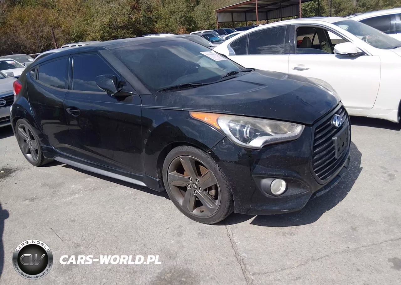 2014 Hyundai Veloster Turbo W-Black