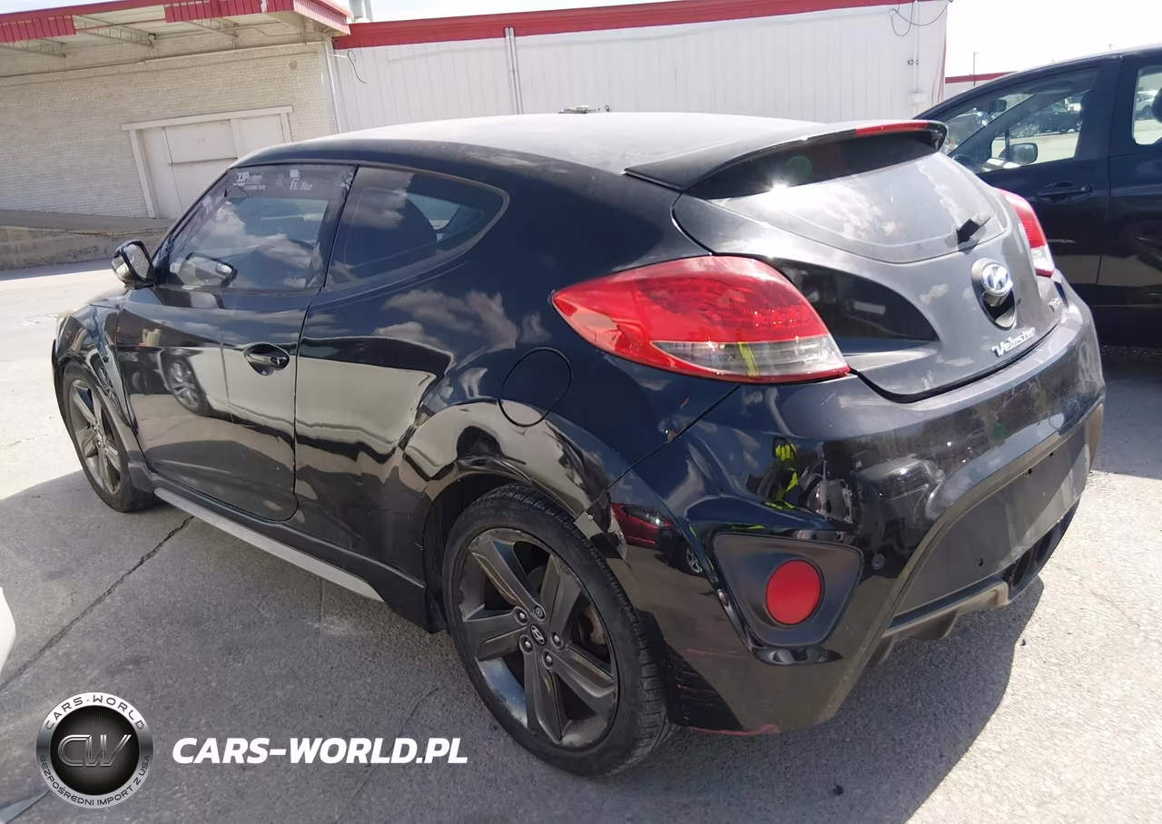 2014 Hyundai Veloster Turbo W-Black VIN:KMHTC6AE3EU198084 - 3