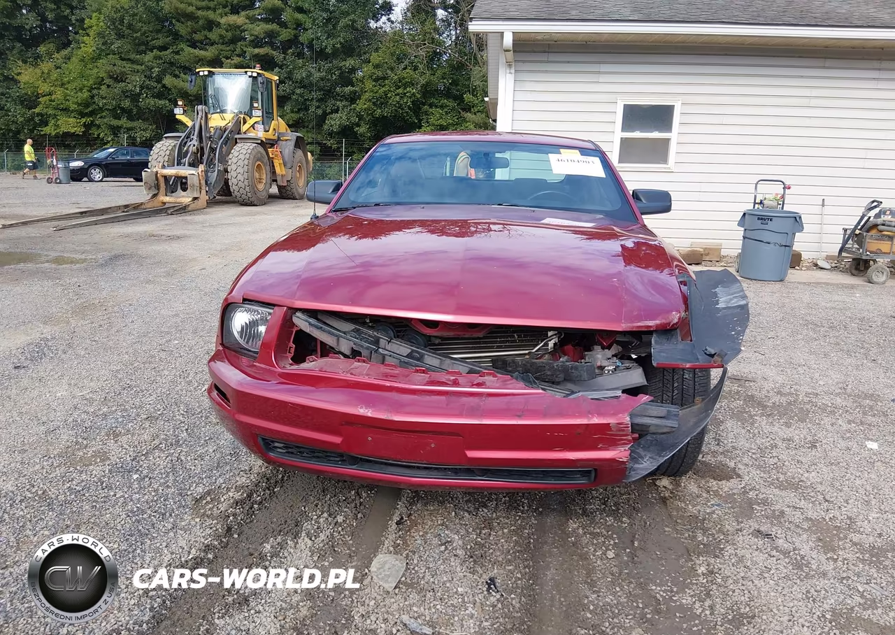 2007 Ford Mustang V6 Deluxe-V6 Premium VIN:1ZVFT80N775289089 - 13