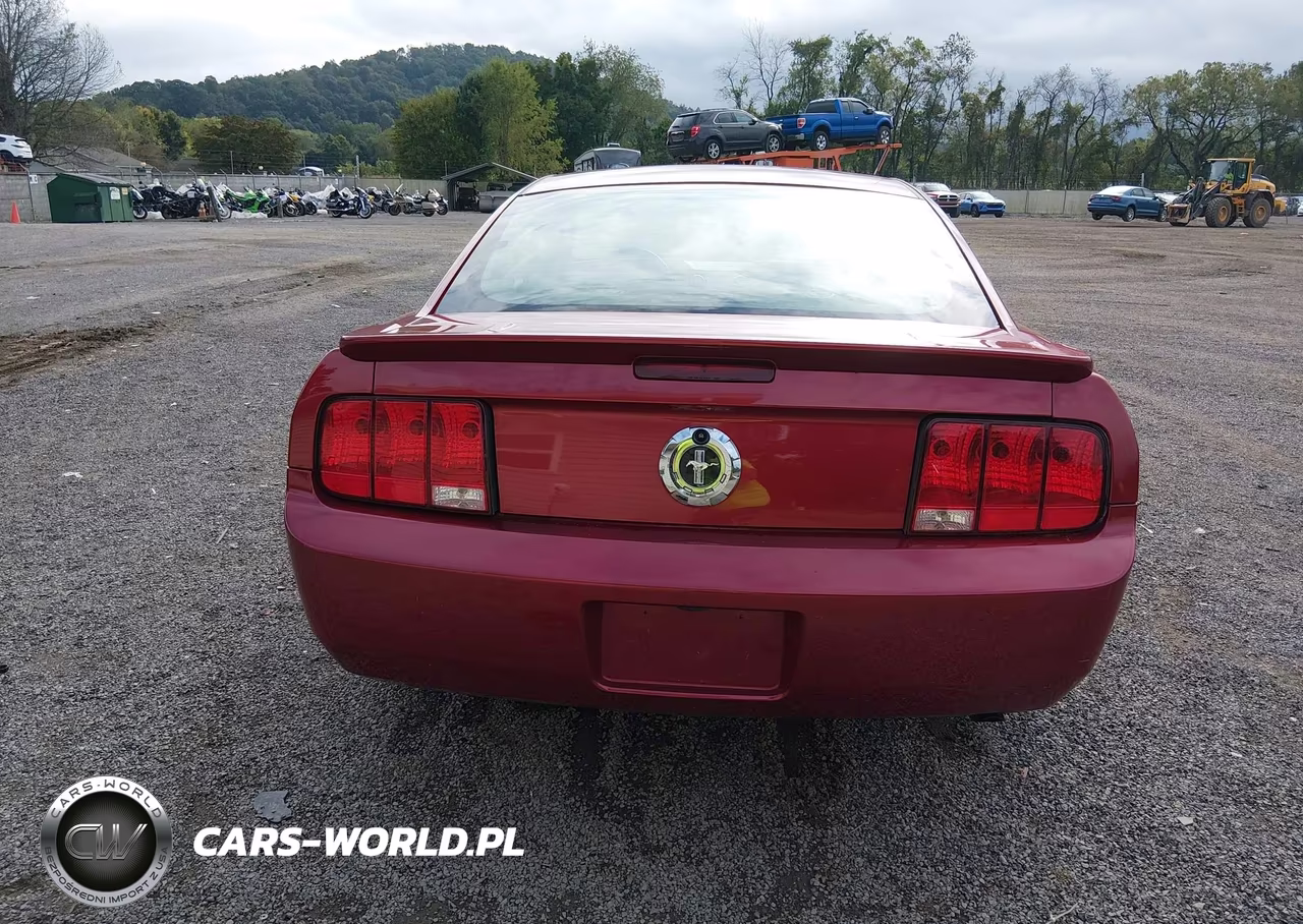 2007 Ford Mustang V6 Deluxe-V6 Premium VIN:1ZVFT80N775289089 - 17