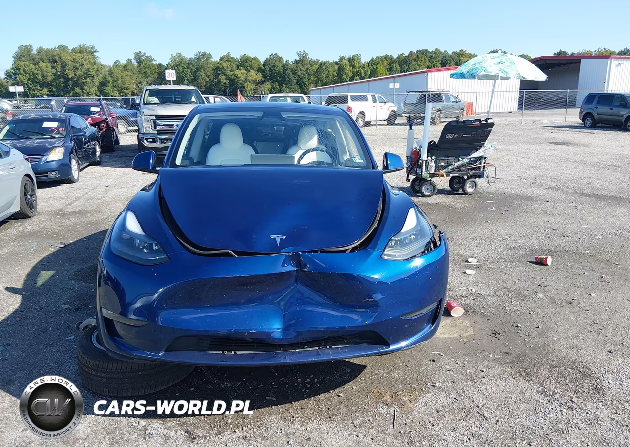 2024 Tesla Model Y Long Range Dual Motor All-Wheel Drive VIN:7SAYGAEE5RF066067 - 11