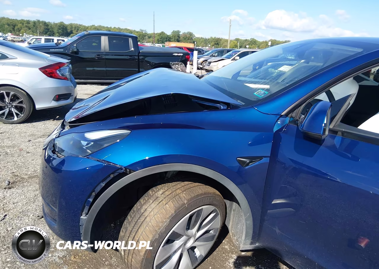 2024 Tesla Model Y Long Range Dual Motor All-Wheel Drive VIN:7SAYGAEE5RF066067 - 6