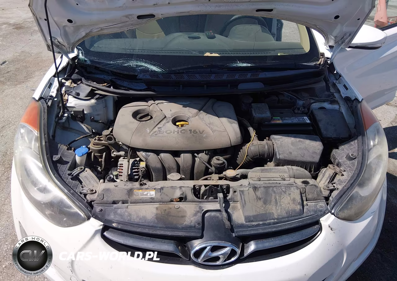 2013 Hyundai Elantra Limited VIN:5NPDH4AE6DH170349 - 10