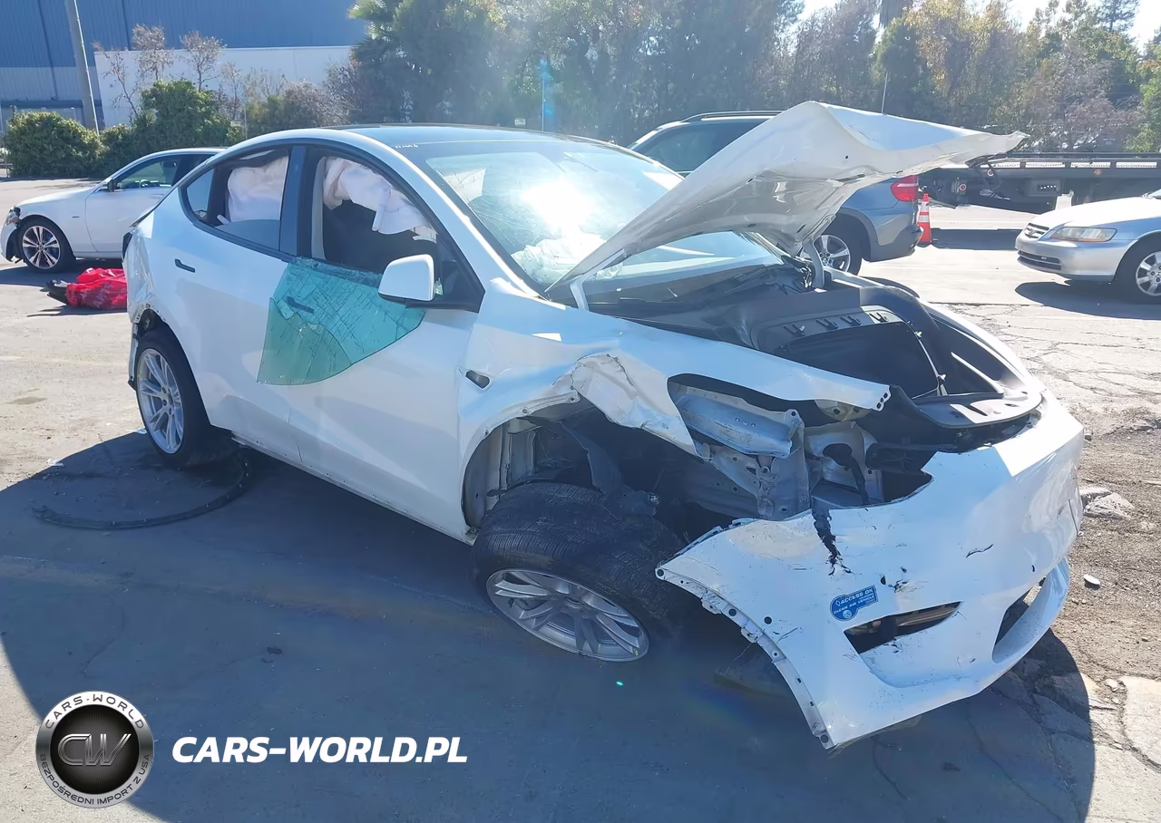 2021 Tesla Model Y Long Range Dual Motor All-Wheel Drive VIN:5YJYGAEE4MF145297 - 1