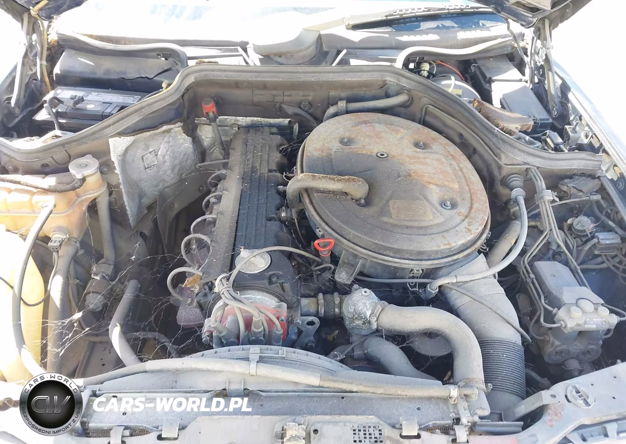 1987 Mercedes-Benz 260 E VIN:WDBEA26D4HA558284 - 10