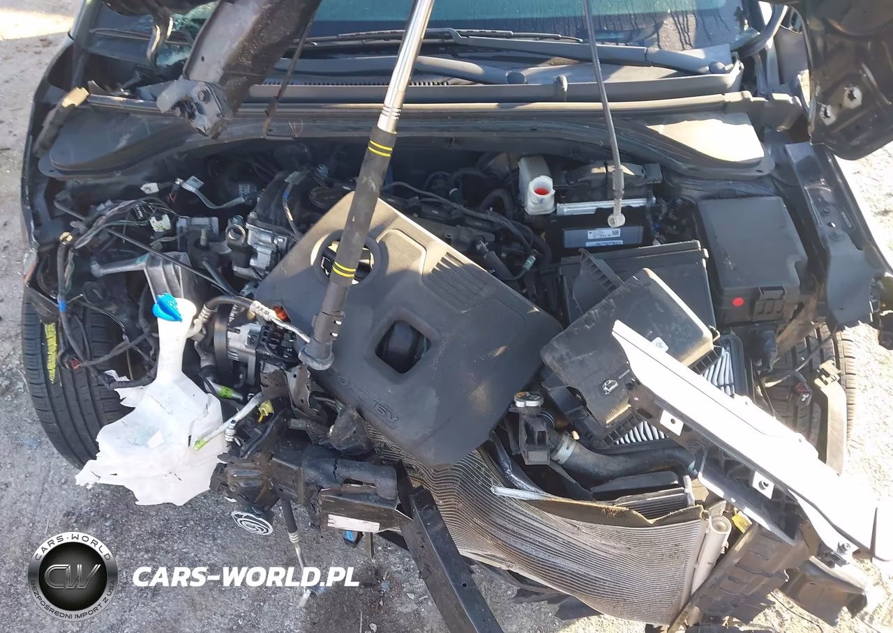 2019 Hyundai Elantra Sel VIN:5NPD84LF4KH427091 - 10