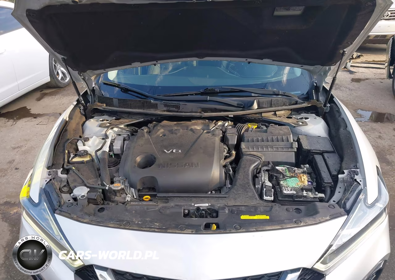 2023 Nissan Maxima Platinum Xtronic Cvt VIN:1N4AA6FV2PC501770 - 10