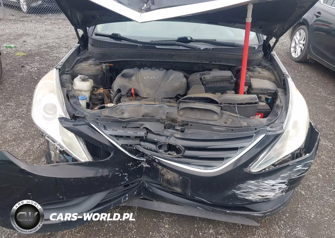 2014 Hyundai Sonata Gls VIN:5NPEB4AC2EH870262 - 12