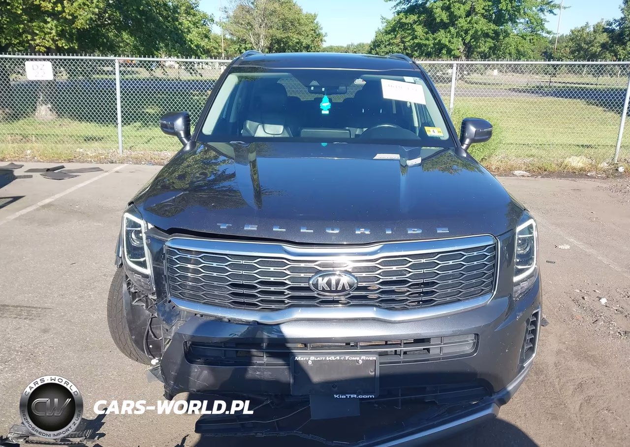 2020 Kia Telluride Ex VIN:5XYP3DHC8LG008325 - 12