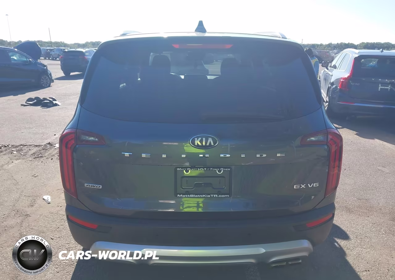 2020 Kia Telluride Ex VIN:5XYP3DHC8LG008325 - 16