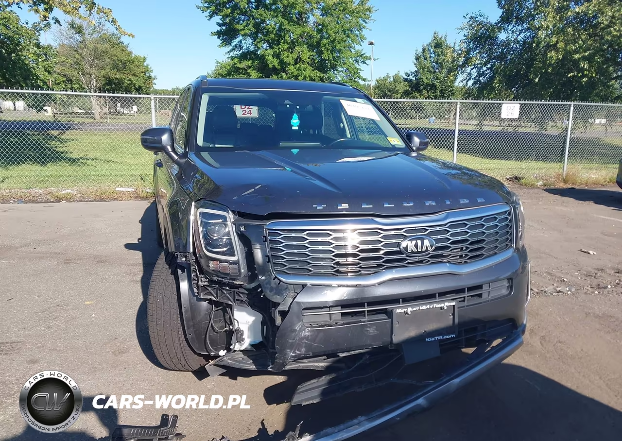 2020 Kia Telluride Ex VIN:5XYP3DHC8LG008325 - 17