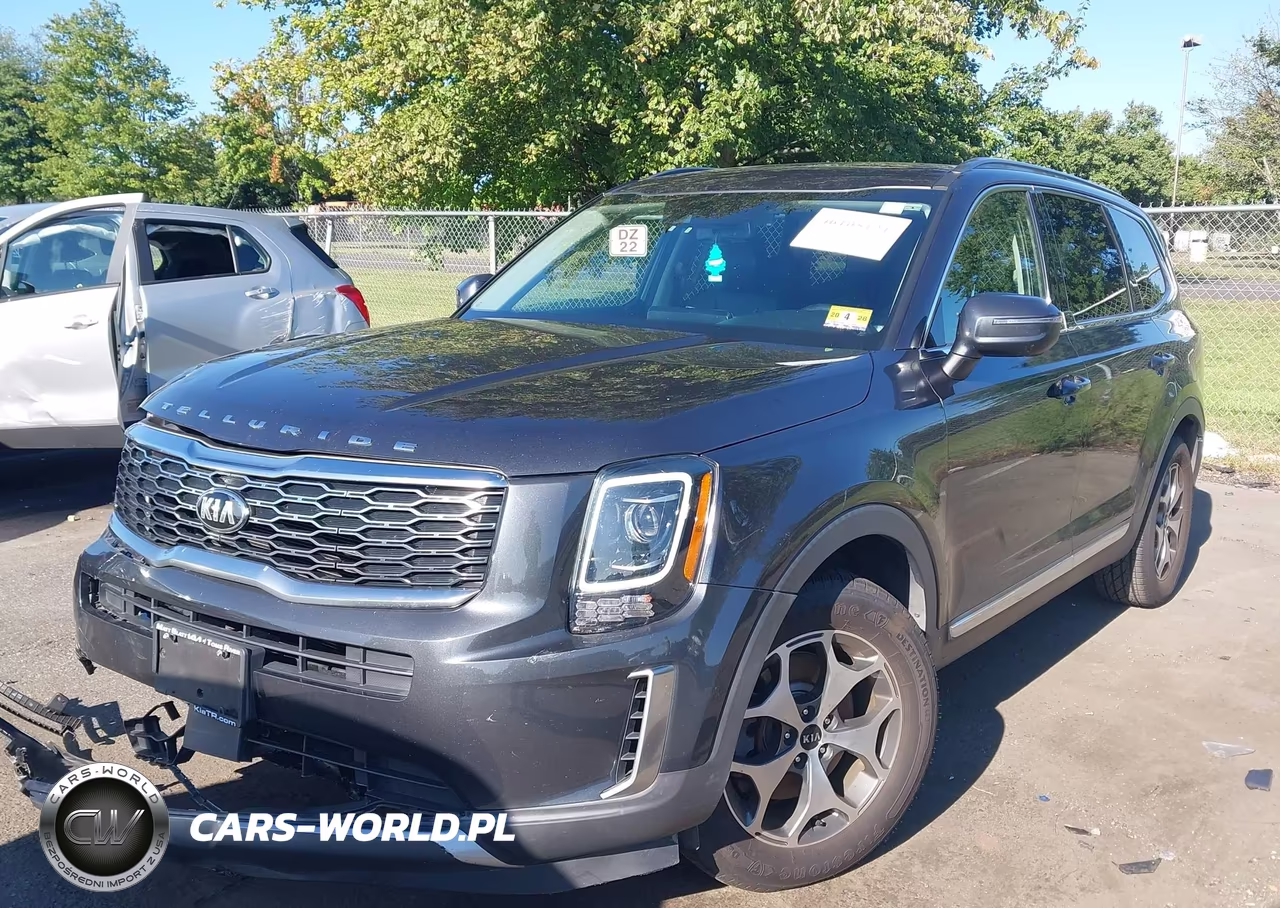 2020 Kia Telluride Ex VIN:5XYP3DHC8LG008325 - 2