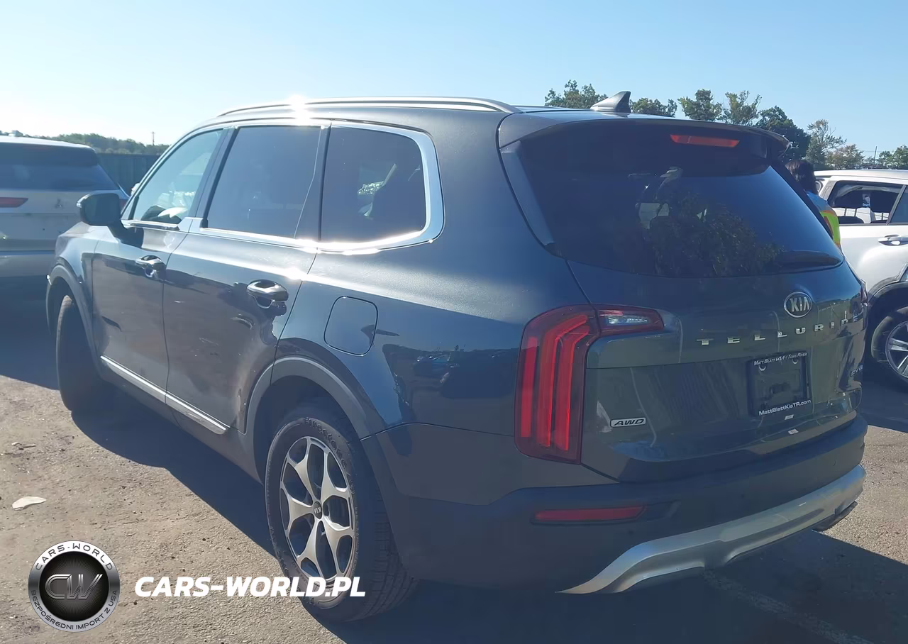 2020 Kia Telluride Ex VIN:5XYP3DHC8LG008325 - 3
