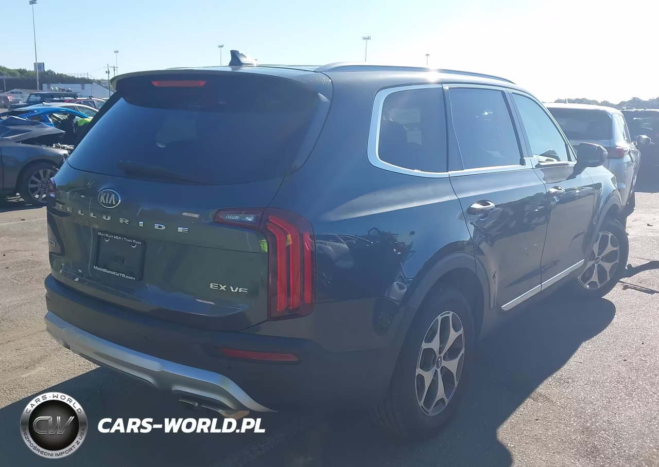 2020 Kia Telluride Ex VIN:5XYP3DHC8LG008325 - 4