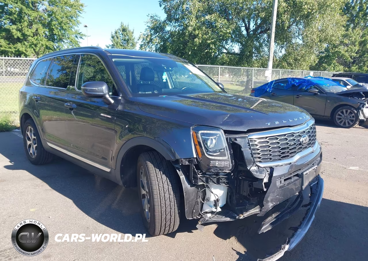 2020 Kia Telluride Ex VIN:5XYP3DHC8LG008325 - 6