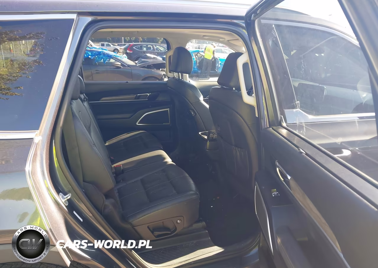 2020 Kia Telluride Ex VIN:5XYP3DHC8LG008325 - 8
