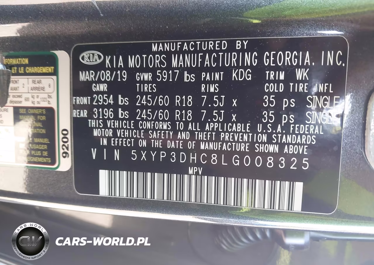 2020 Kia Telluride Ex VIN:5XYP3DHC8LG008325 - 9
