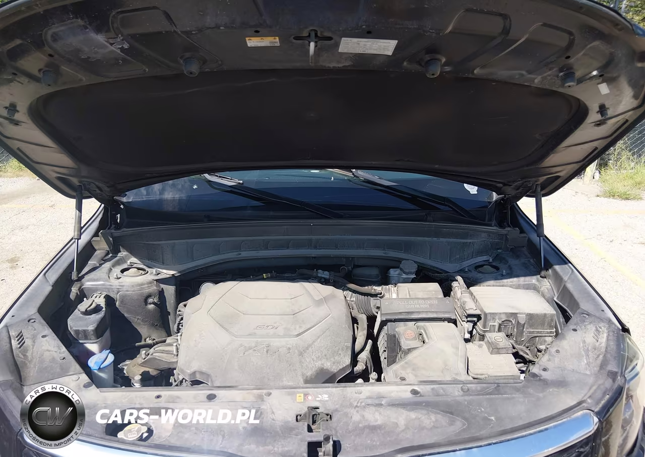 2022 Kia Telluride Ex VIN:5XYP34HC9NG274696 - 10