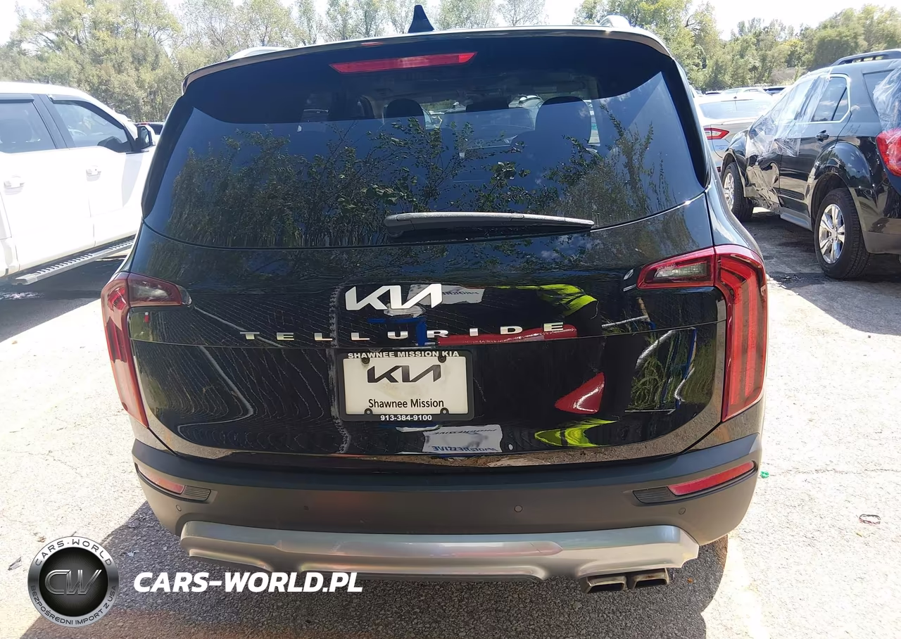 2022 Kia Telluride Ex VIN:5XYP34HC9NG274696 - 16
