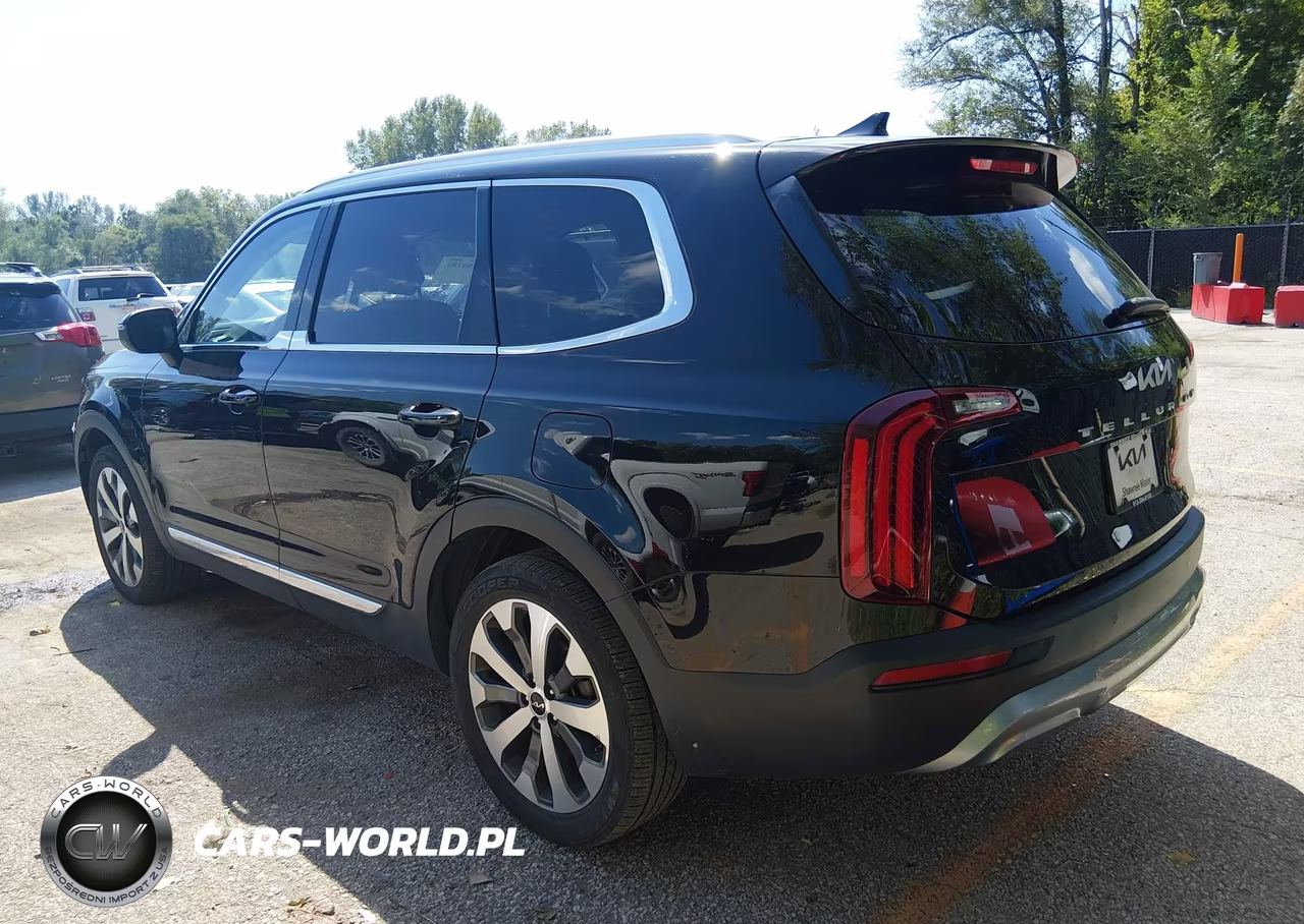 2022 Kia Telluride Ex VIN:5XYP34HC9NG274696 - 3