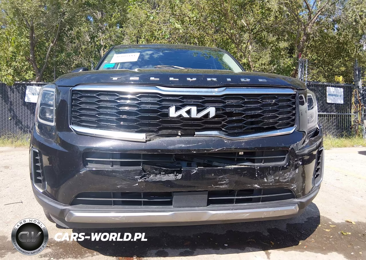 2022 Kia Telluride Ex VIN:5XYP34HC9NG274696 - 6