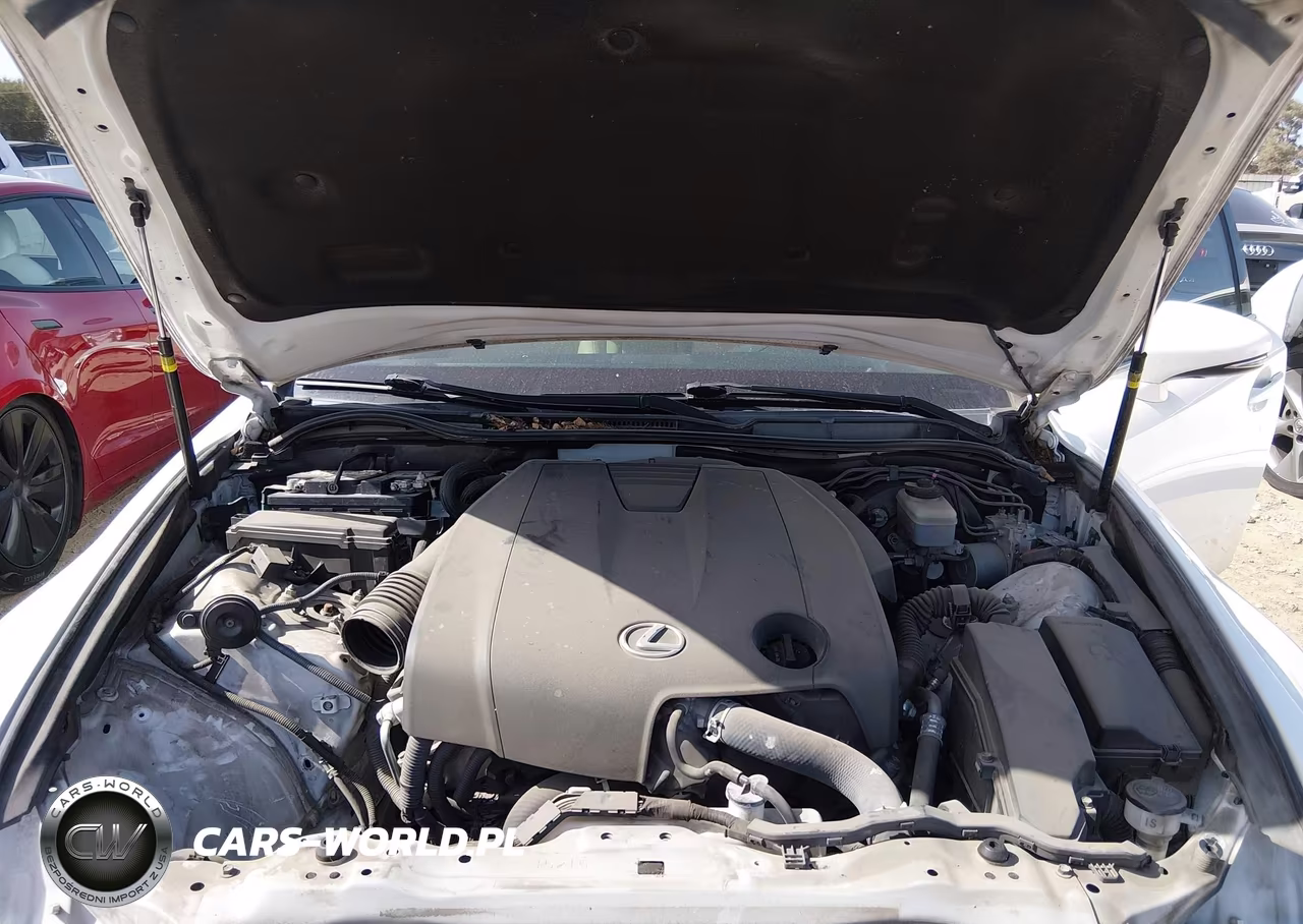 2015 Lexus Is 250 VIN:JTHBF1D24F5059099 - 10