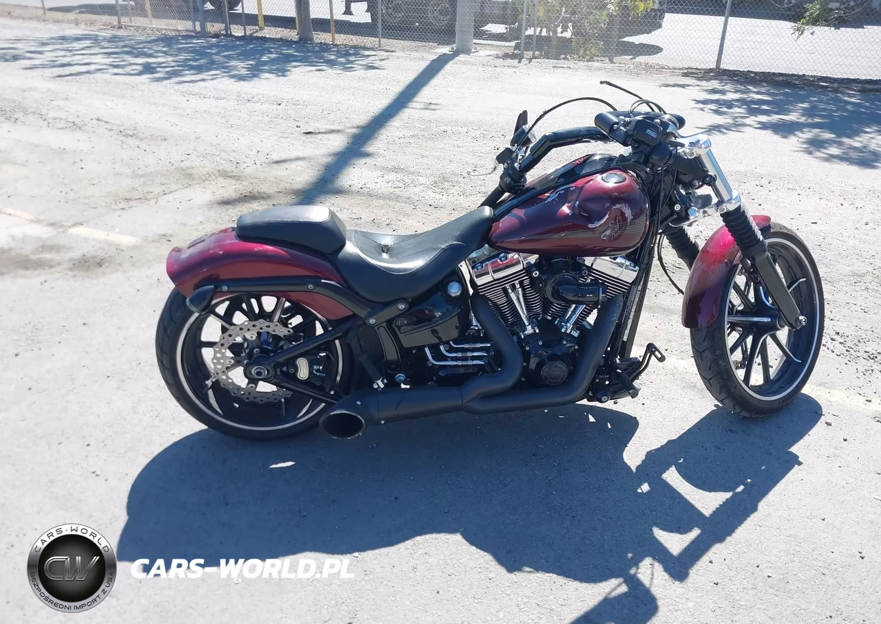 2015 Harley-Davidson Fxsb Breakout VIN:1HD1BFV37FB035862 - 11