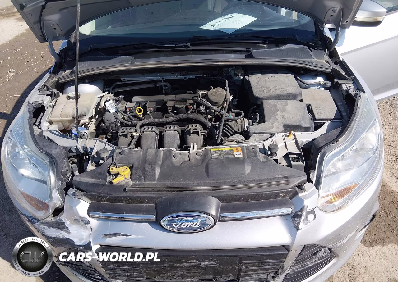 2013 Ford Focus Se VIN:1FADP3K25DL143811 - 10