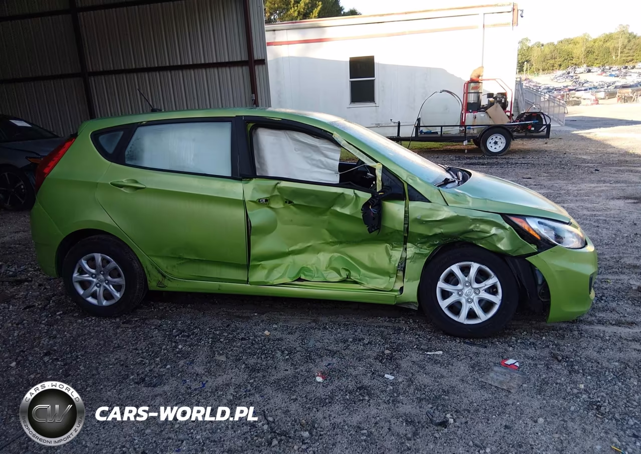 2013 Hyundai Accent Gs VIN:KMHCT5AE1DU114515 - 13