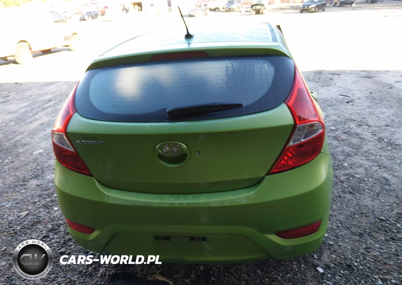 2013 Hyundai Accent Gs VIN:KMHCT5AE1DU114515 - 16