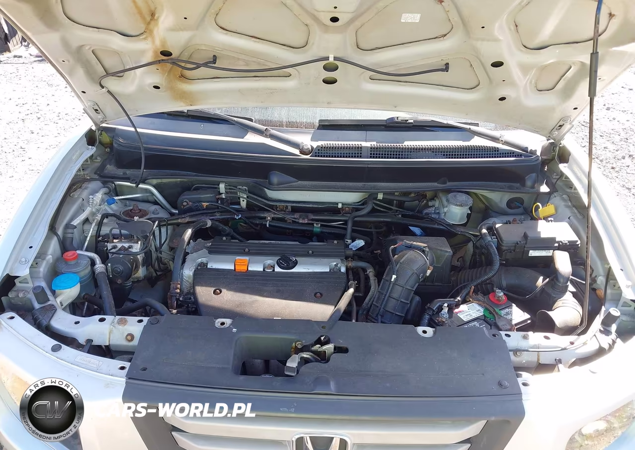 2007 Honda Element Ex VIN:5J6YH28797L006021 - 10