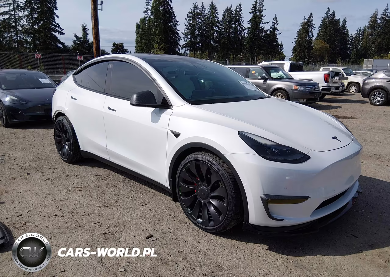 2021 Tesla Model Y Performance Dual Motor All-Wheel Drive VIN:5YJYGDEF2MF258224 - 1