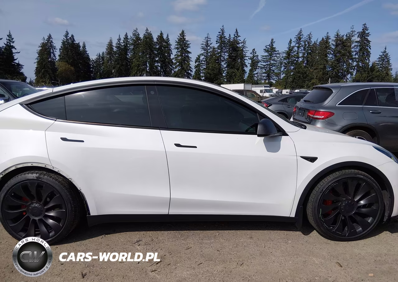 2021 Tesla Model Y Performance Dual Motor All-Wheel Drive VIN:5YJYGDEF2MF258224 - 14