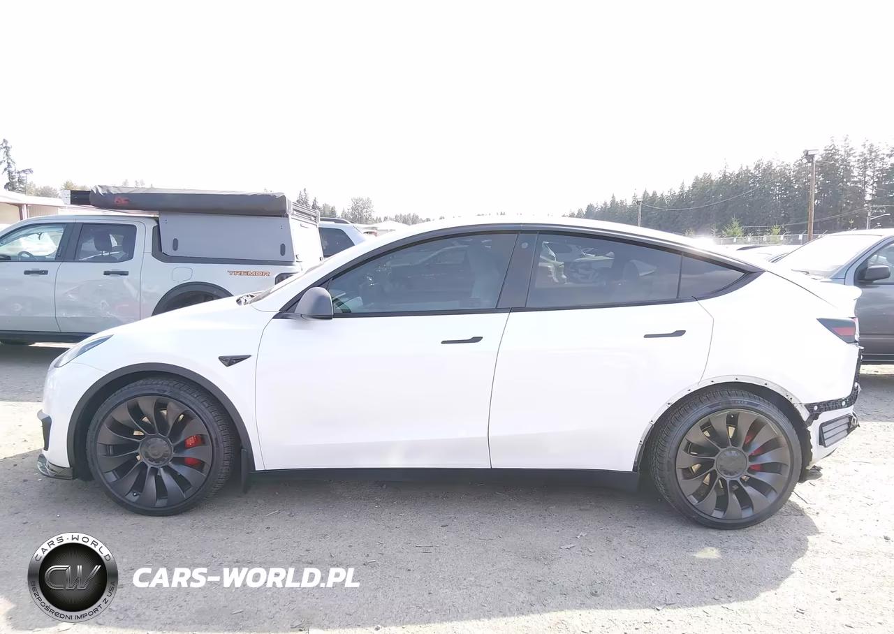 2021 Tesla Model Y Performance Dual Motor All-Wheel Drive VIN:5YJYGDEF2MF258224 - 15