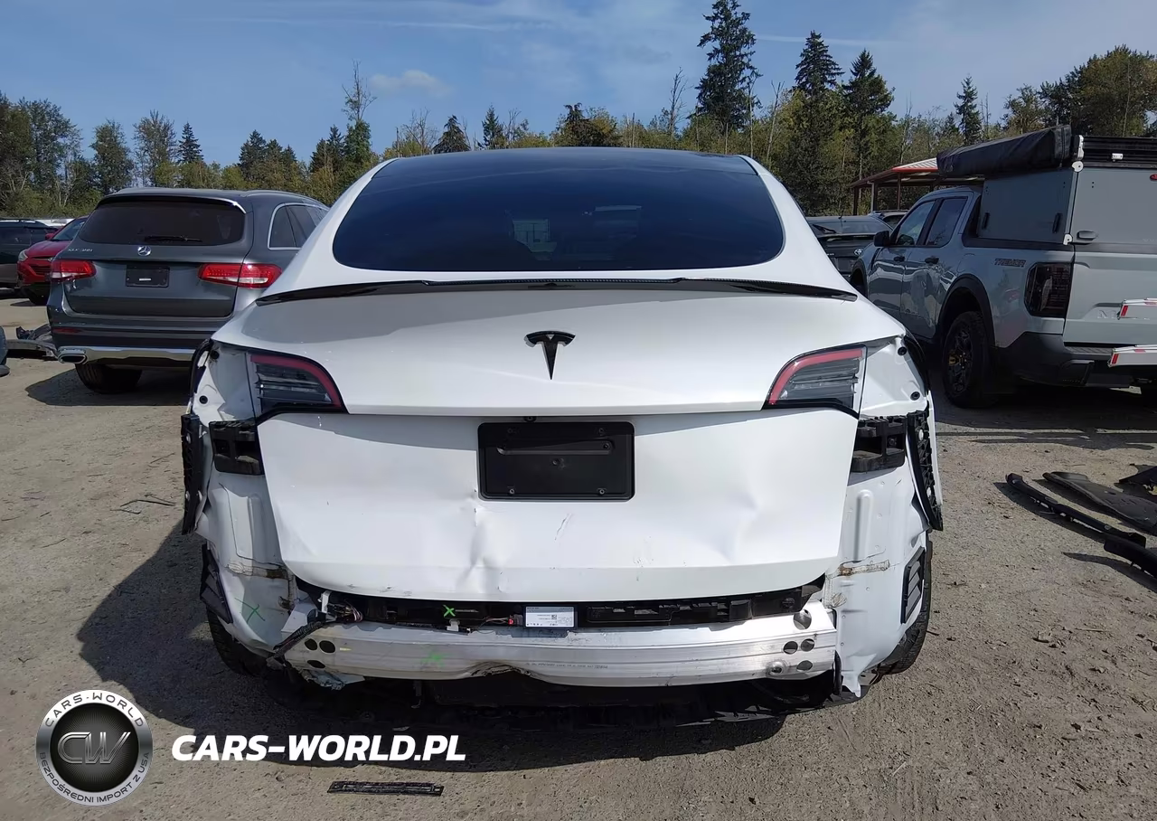2021 Tesla Model Y Performance Dual Motor All-Wheel Drive VIN:5YJYGDEF2MF258224 - 17