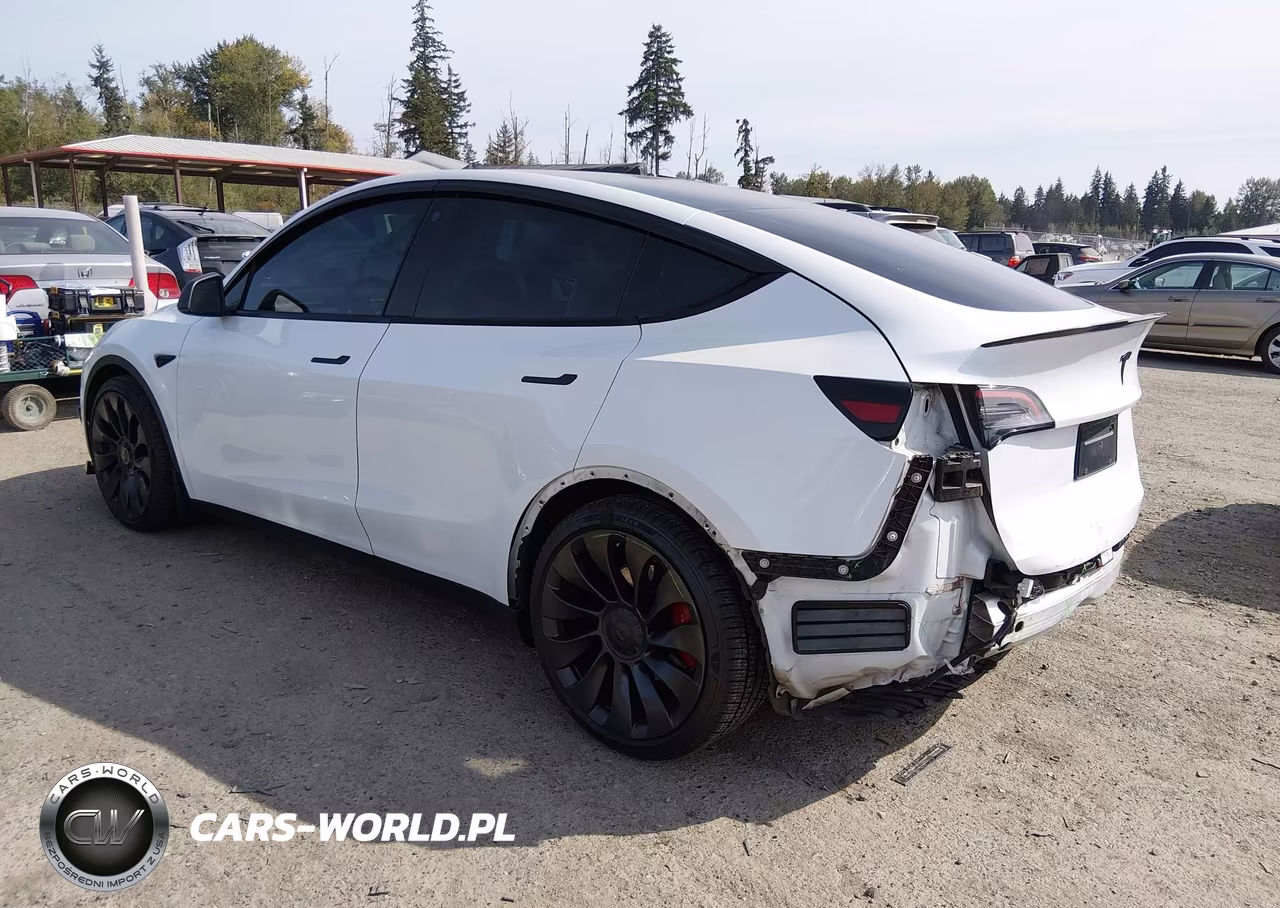 2021 Tesla Model Y Performance Dual Motor All-Wheel Drive VIN:5YJYGDEF2MF258224 - 3