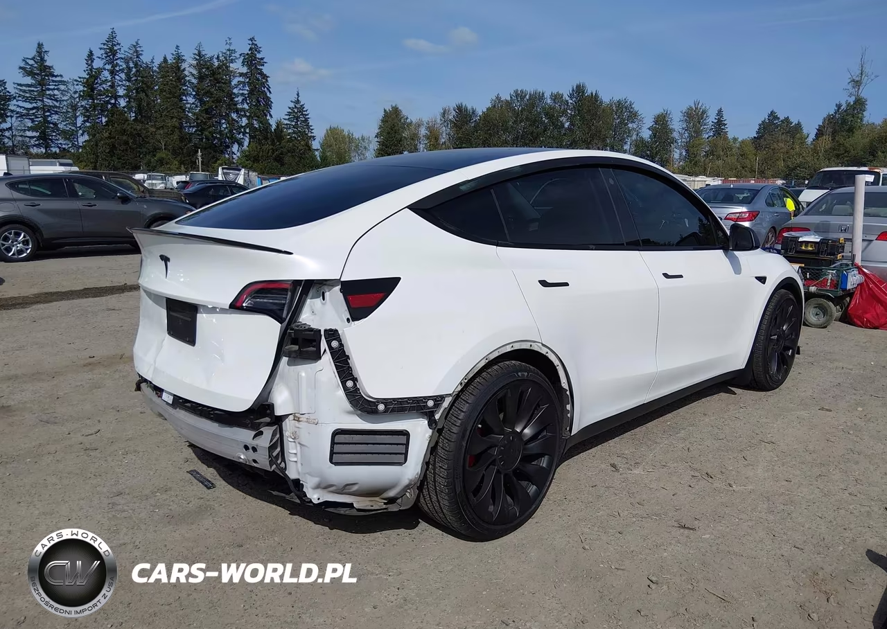 2021 Tesla Model Y Performance Dual Motor All-Wheel Drive VIN:5YJYGDEF2MF258224 - 4