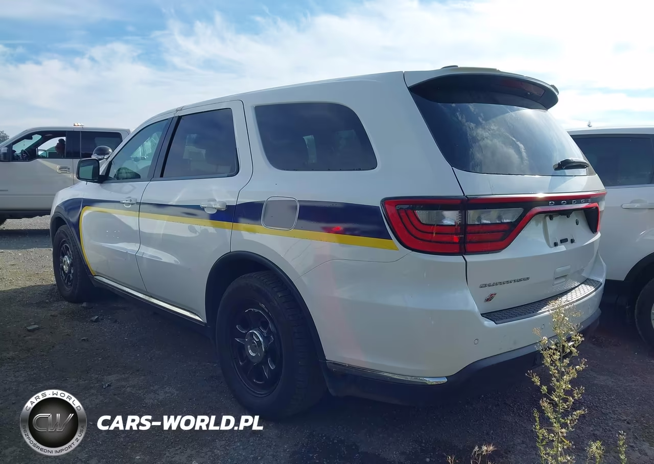 2023 Dodge Durango Pursuit Awd VIN:1C4RDJFG6PC573984 - 3
