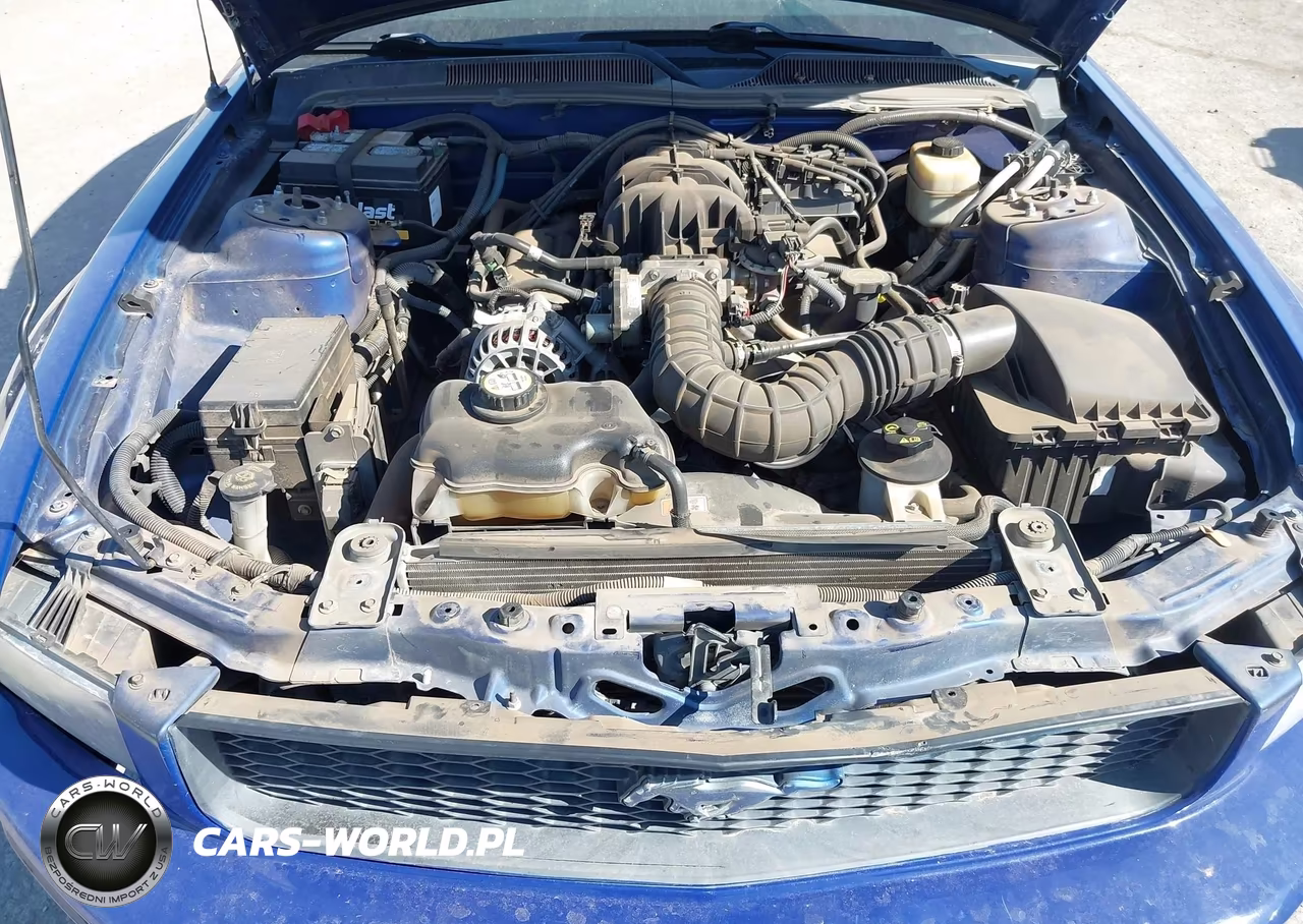 2007 Ford Mustang V6 Deluxe-V6 Premium VIN:1ZVFT80N575329444 - 10