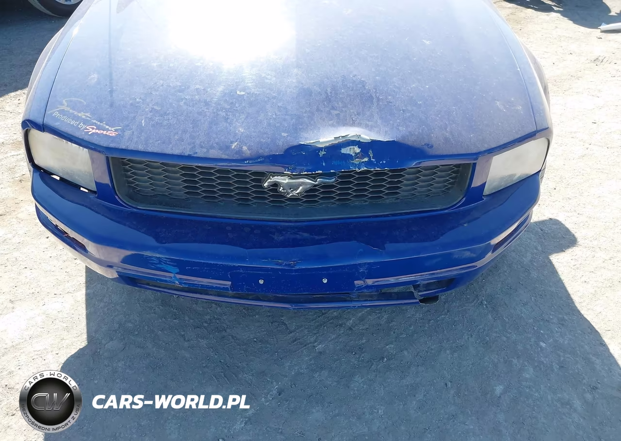 2007 Ford Mustang V6 Deluxe-V6 Premium VIN:1ZVFT80N575329444 - 6