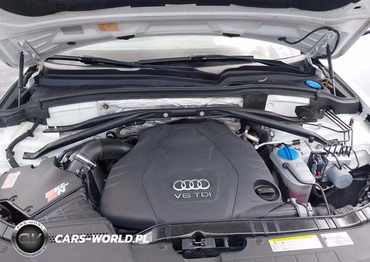 2016 Audi Q5 3.0 Tdi Premium Plus VIN:WA1CVAFP6GA002391 - 10