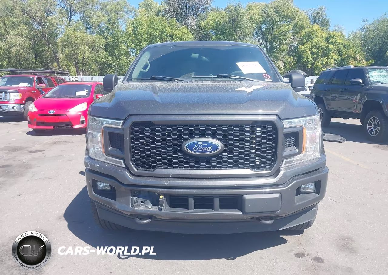 2019 Ford F-150 Xl VIN:1FTEW1EP0KKE36600 - 12