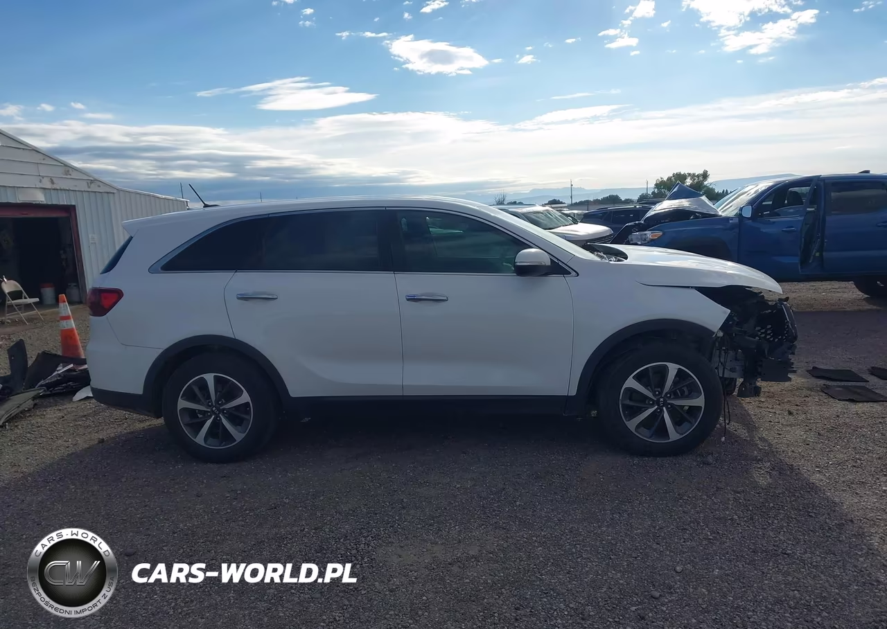 2020 Kia Sorento 3.3L Lx VIN:5XYPG4A59LG612935 - 13