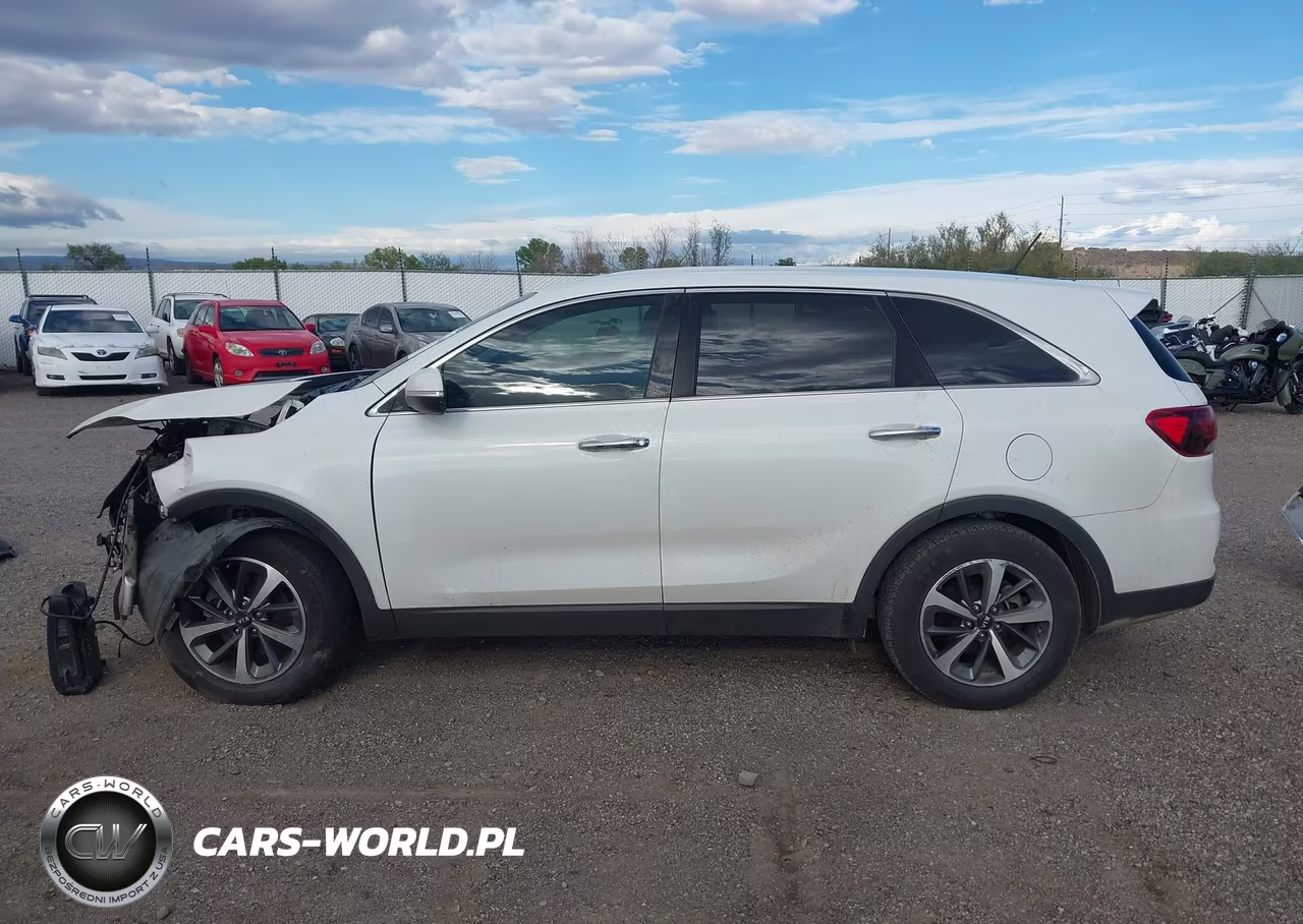2020 Kia Sorento 3.3L Lx VIN:5XYPG4A59LG612935 - 14