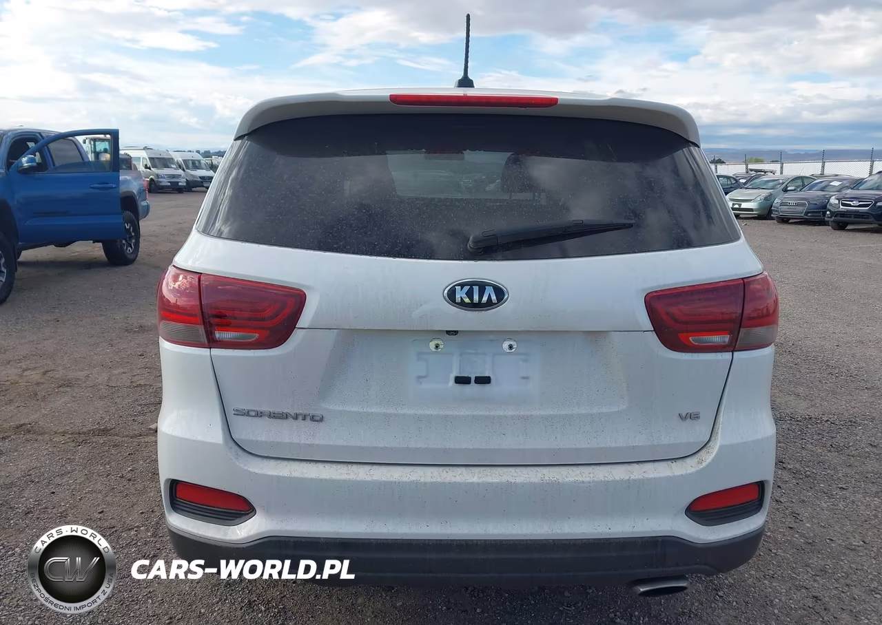 2020 Kia Sorento 3.3L Lx VIN:5XYPG4A59LG612935 - 16