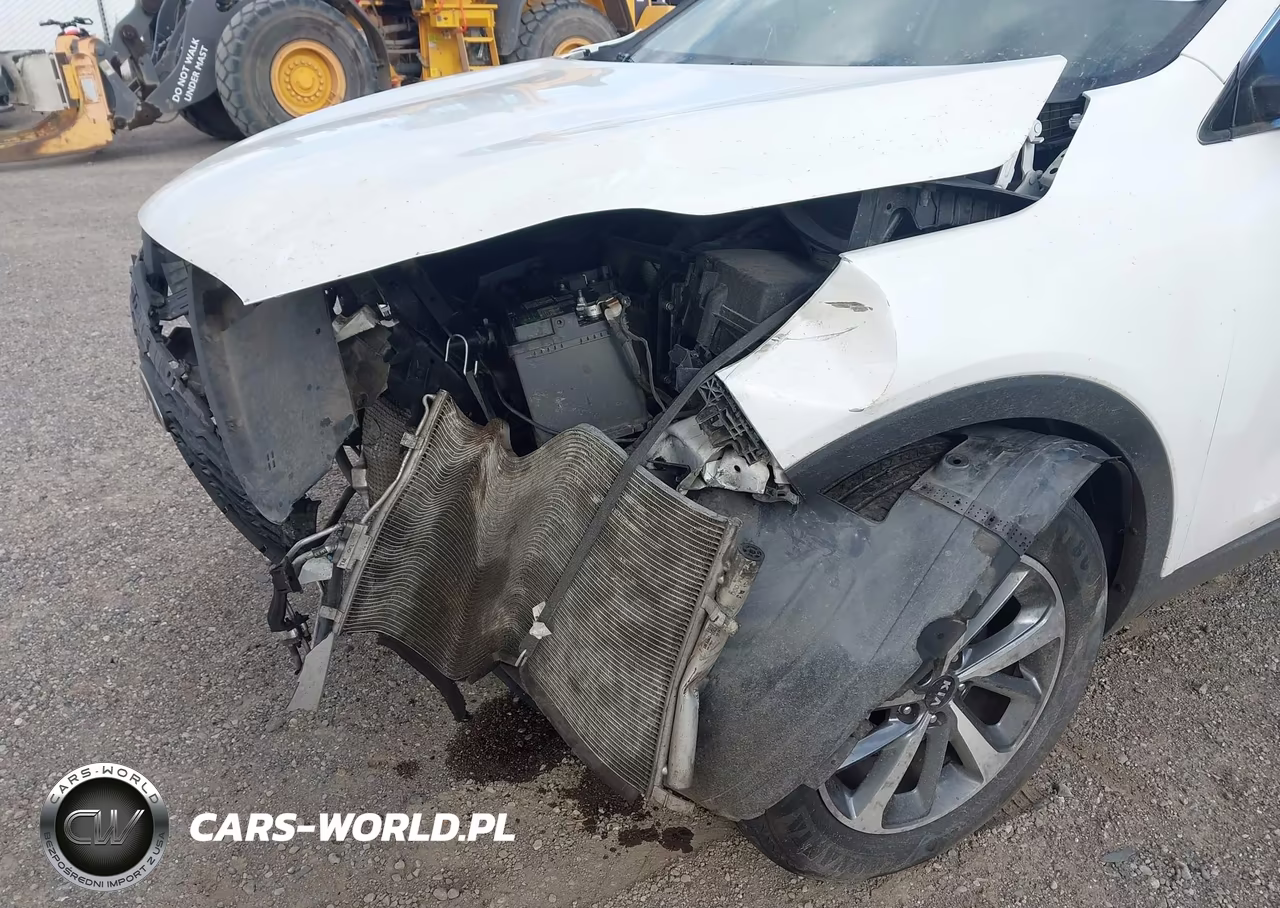 2020 Kia Sorento 3.3L Lx VIN:5XYPG4A59LG612935 - 6